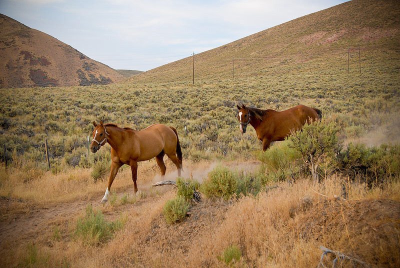 [2008-07-27+Bear+Lake+0592.jpg]