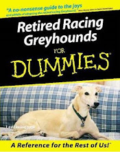 Greyhounds for Dummies
