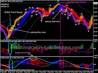 Faizumi fx trading system