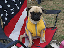 All American Pup