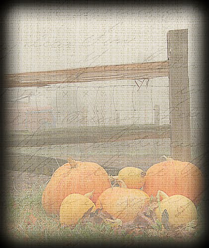 [Fence+&+pumpkins+w+text+(1+of+1).jpg]