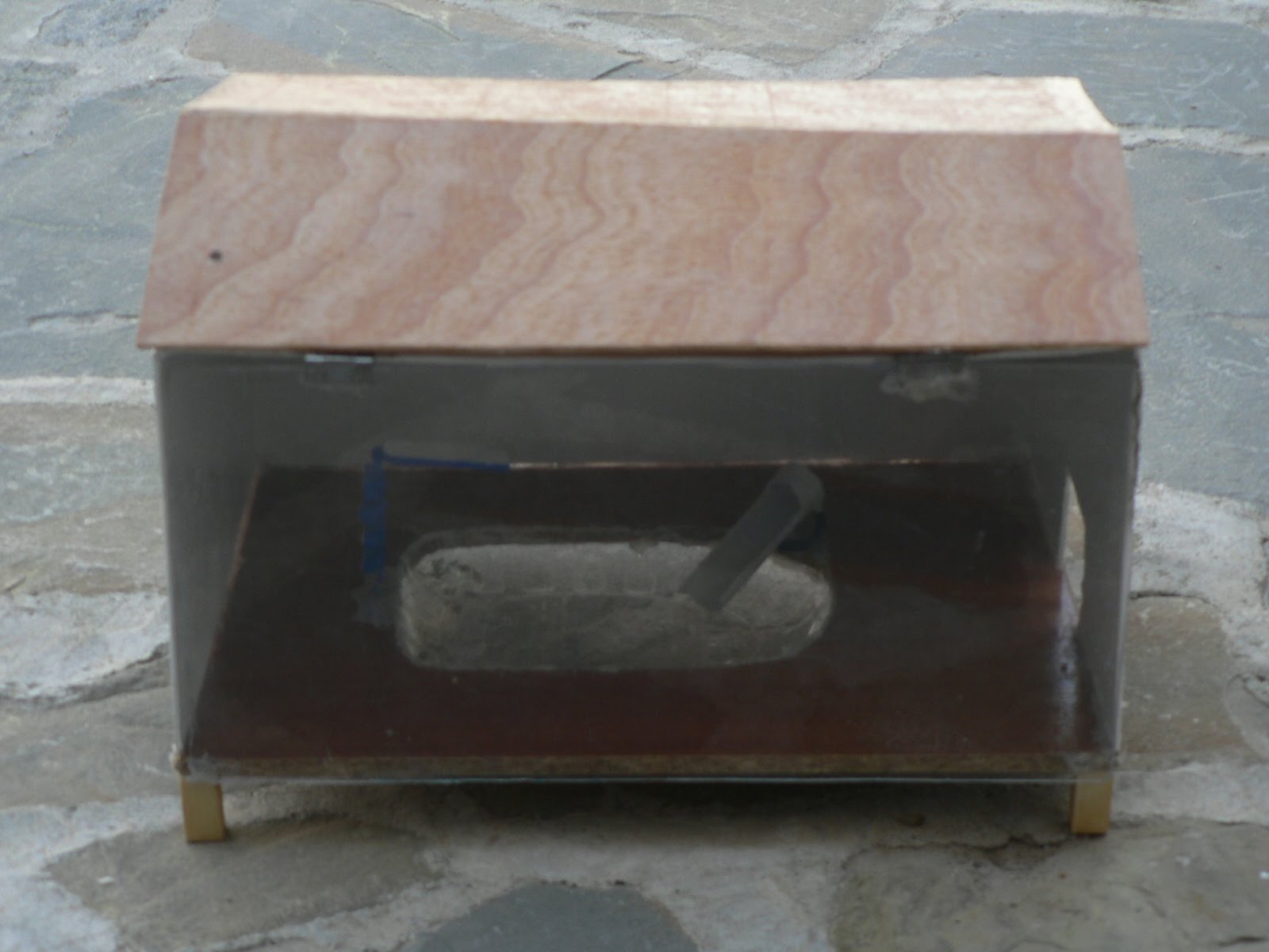 Proyecto de piscina cubierta: Fotos de la piscina.