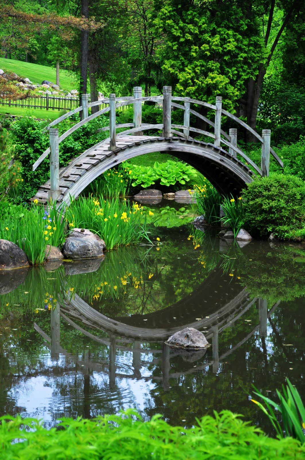 fabyan japanese garden