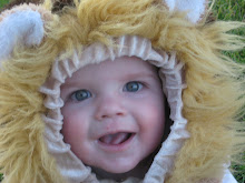 Little Lion