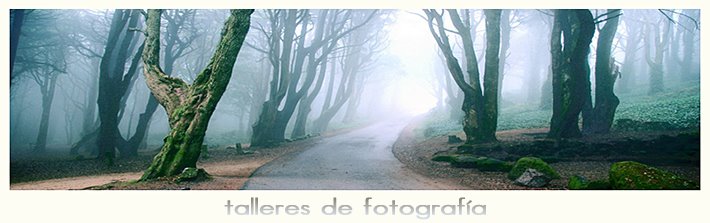 Talleres de fotografía