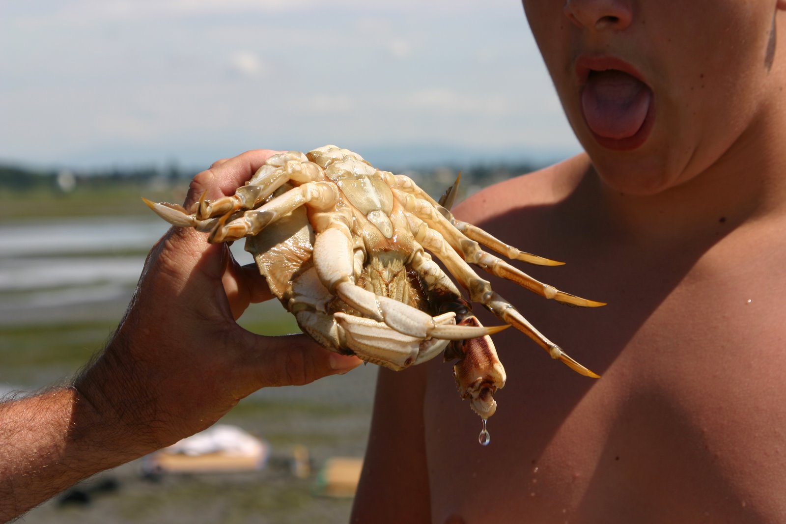 [IMG_0145.JPG]