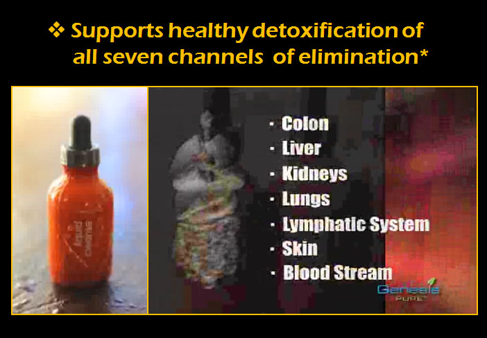 Detox Channels detox health the eliminates toxins and waste through Detox Channels detox health the eliminates toxins and waste through