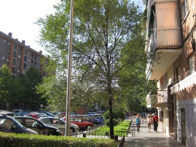 [arbol+de+la+vida.JPG]