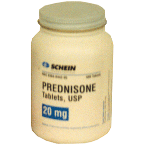 buy liquid prednisone