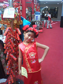 Chinese Dress for Little Girl