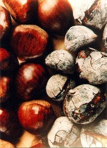 [Castanhas.jpg]