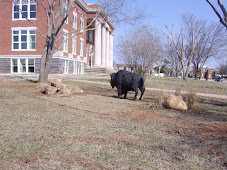 Statuary addition to old LHS grounds.