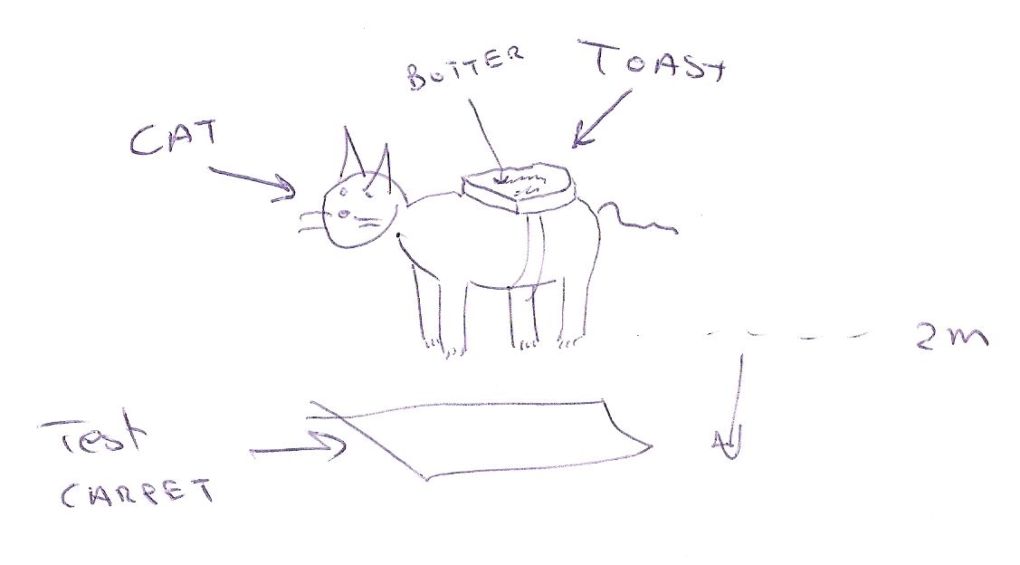 [CatToast.jpg]