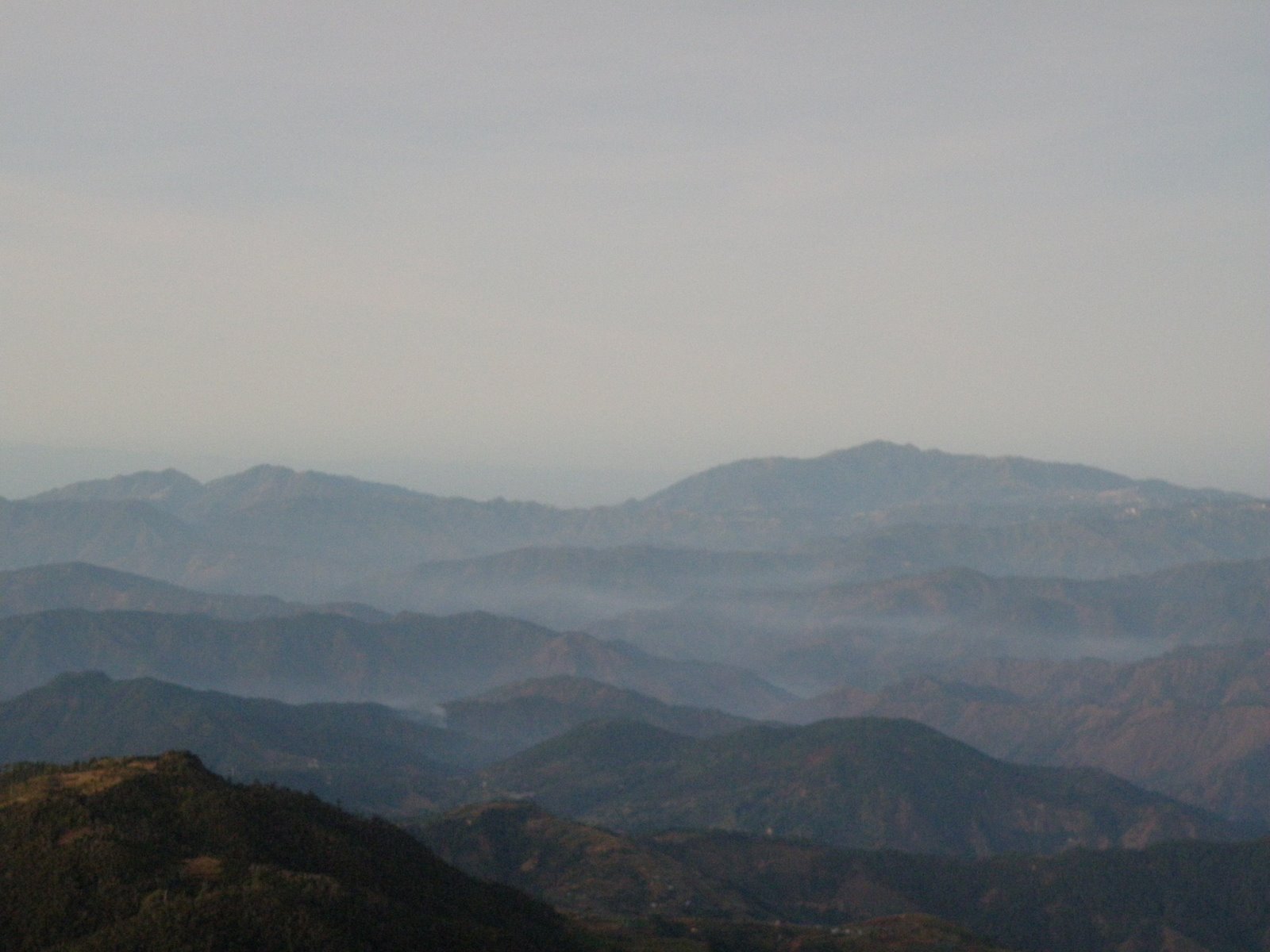 [P3010081.JPG]