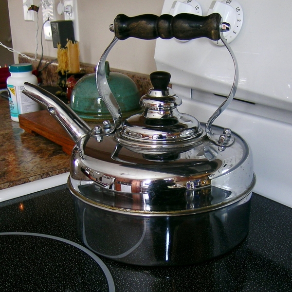 kathy van kleeck January 2011