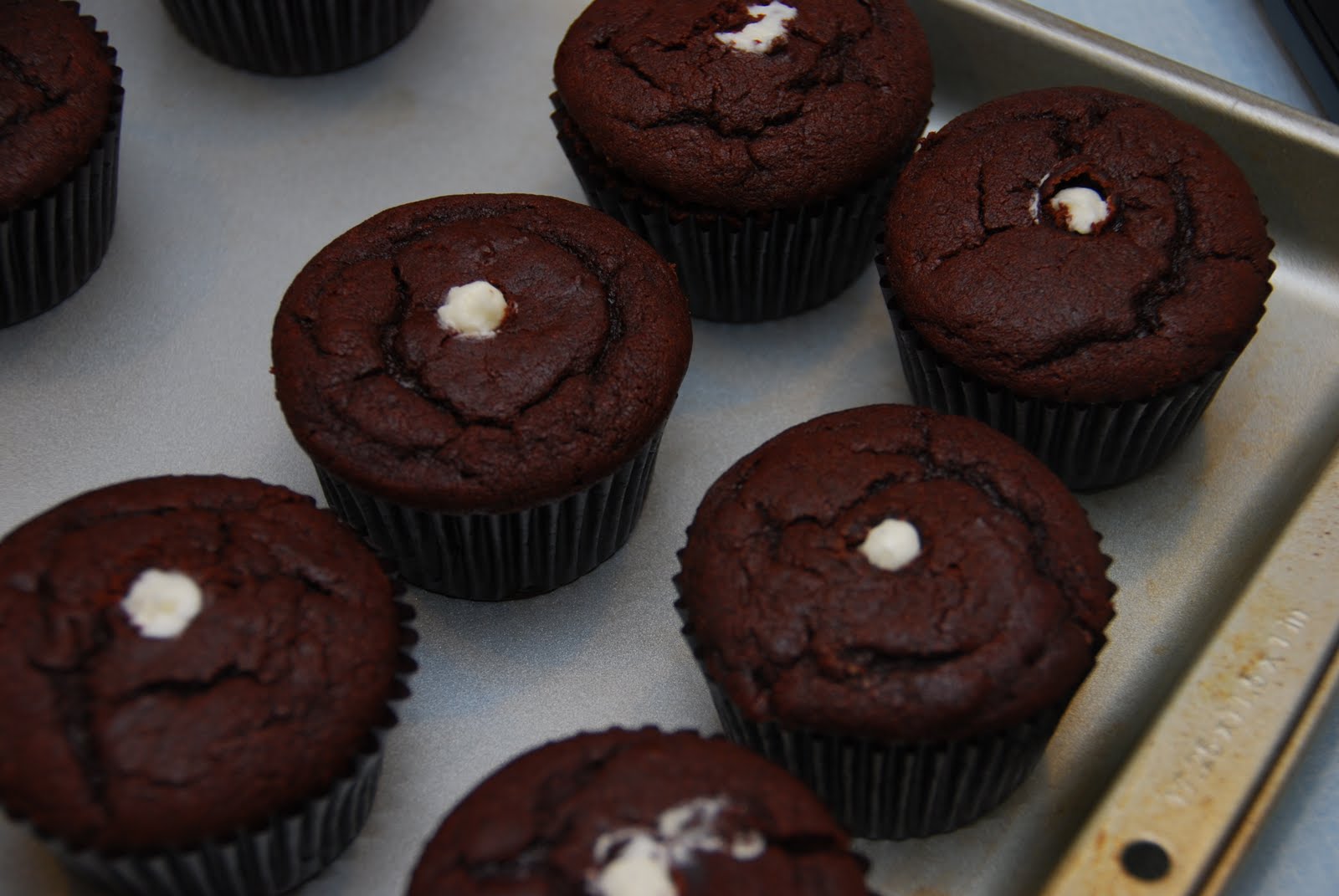 Chocolate Coconut Cupcakes