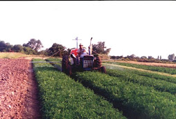 Pulverizadora 400 lts de barra