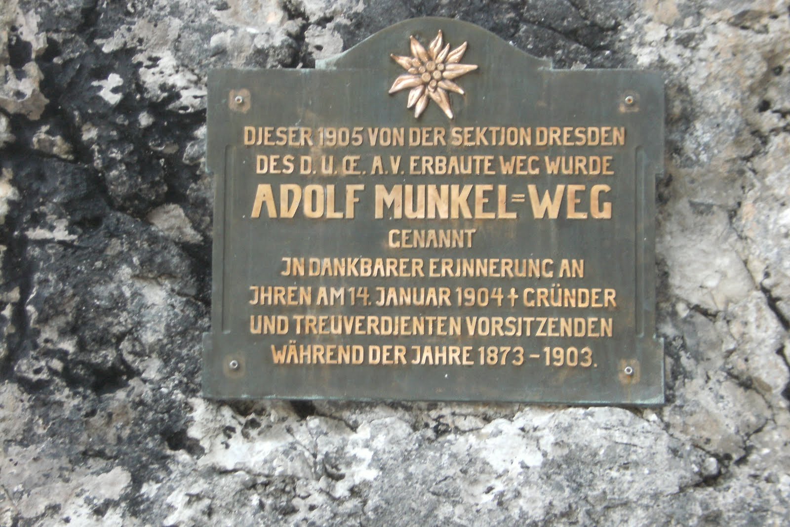 [DSCF0019.JPG]
