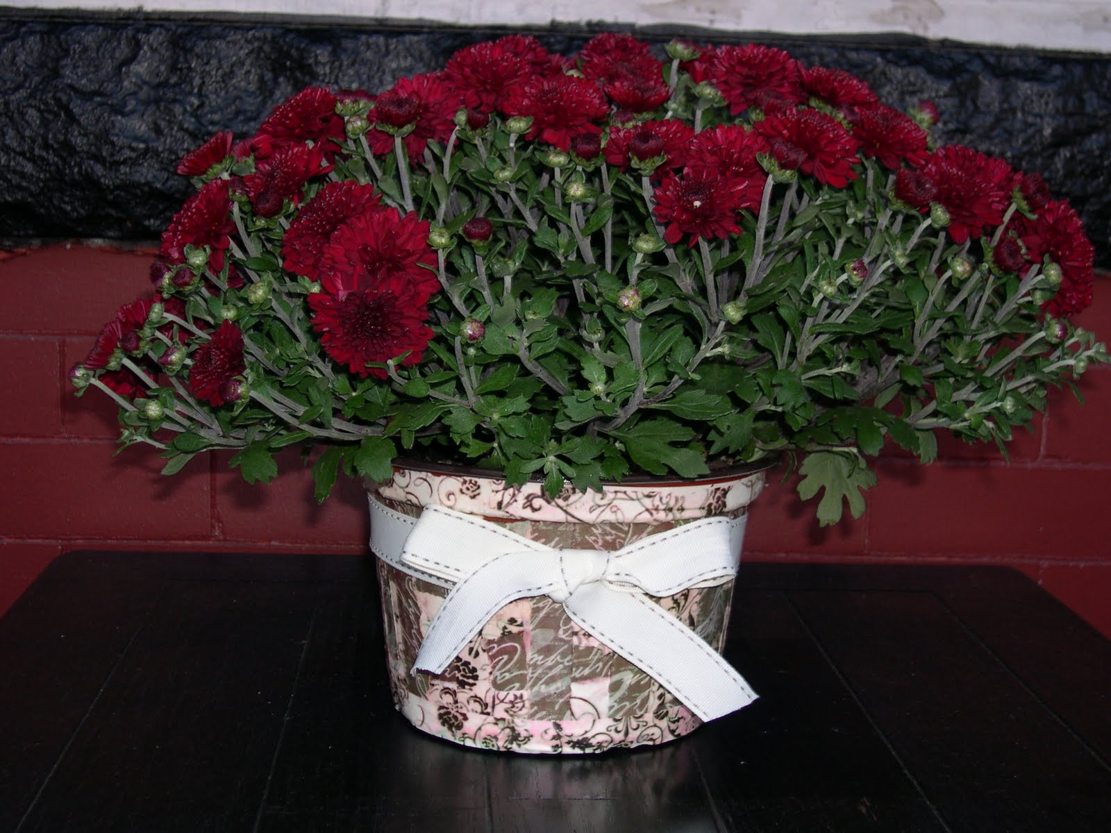 [DSCN5569.JPG]