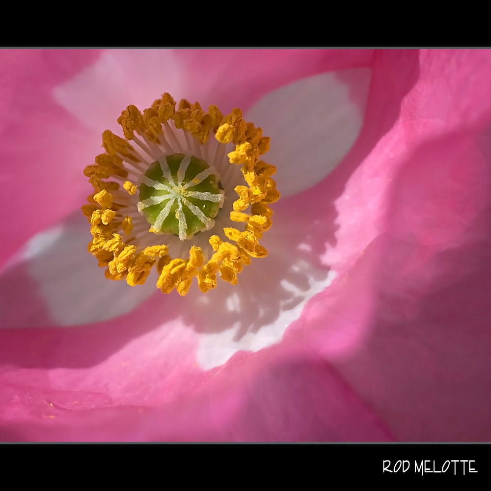 [DSC_000NOTWEB.jpg]