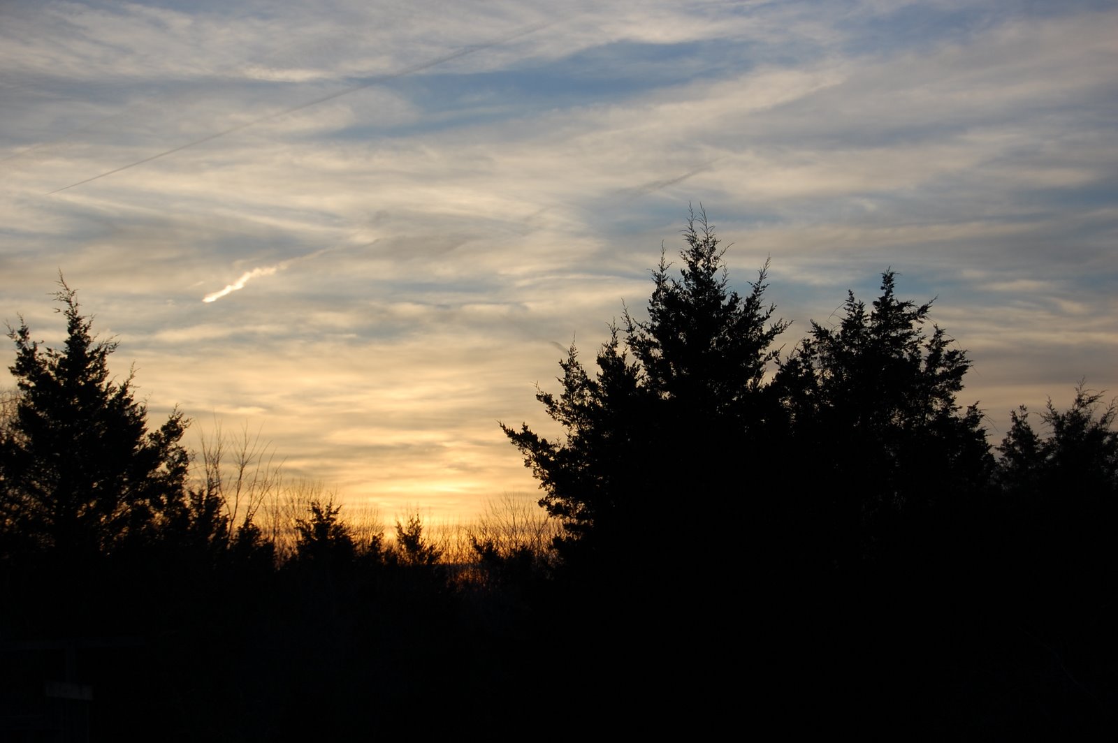 [DSC_1271.JPG]