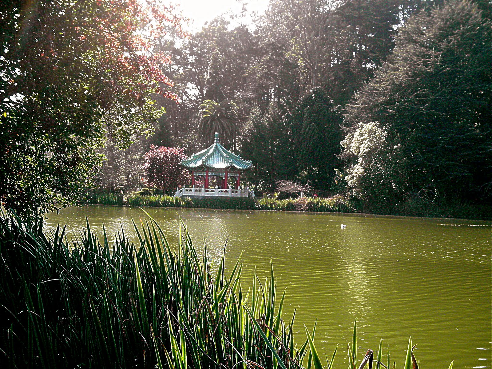 Chinese Pavilion in Golden Gate Park