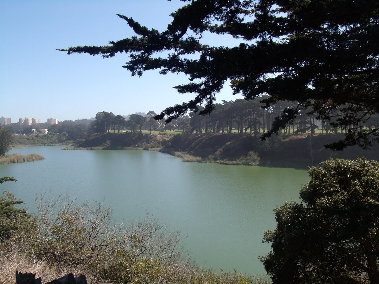 lake merced