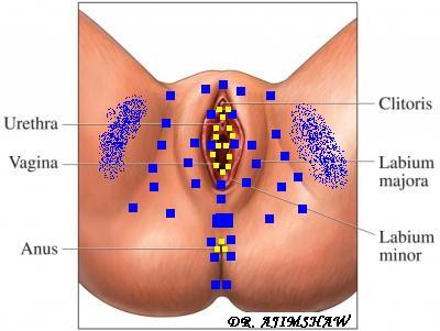 Myofascial Therapy And Research Foundation Home Based Mfr
