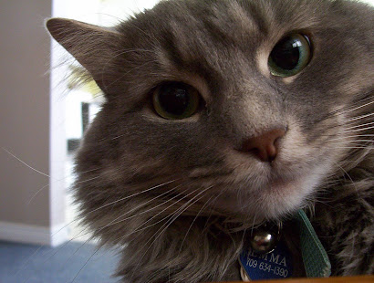 Mad Emma (She looks a little mad...LOL)