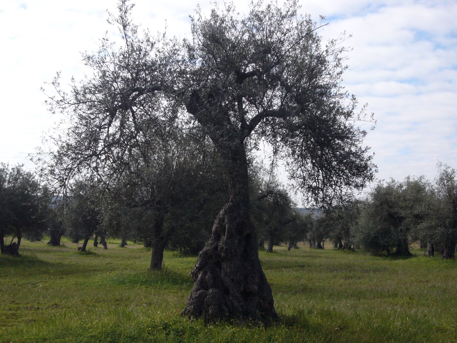[L1010247.JPG]