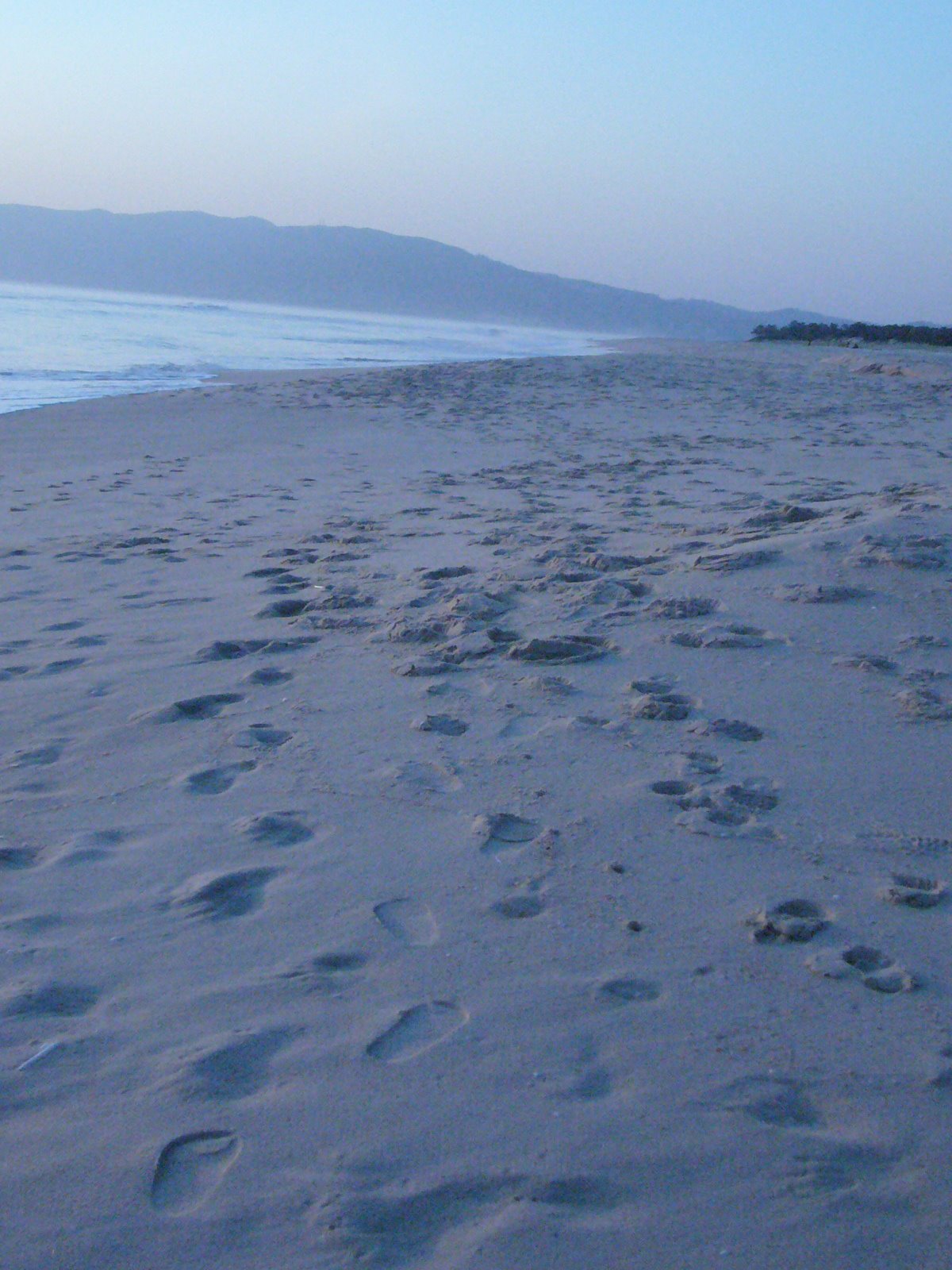 [varias.2009.03.06+231.jpg]