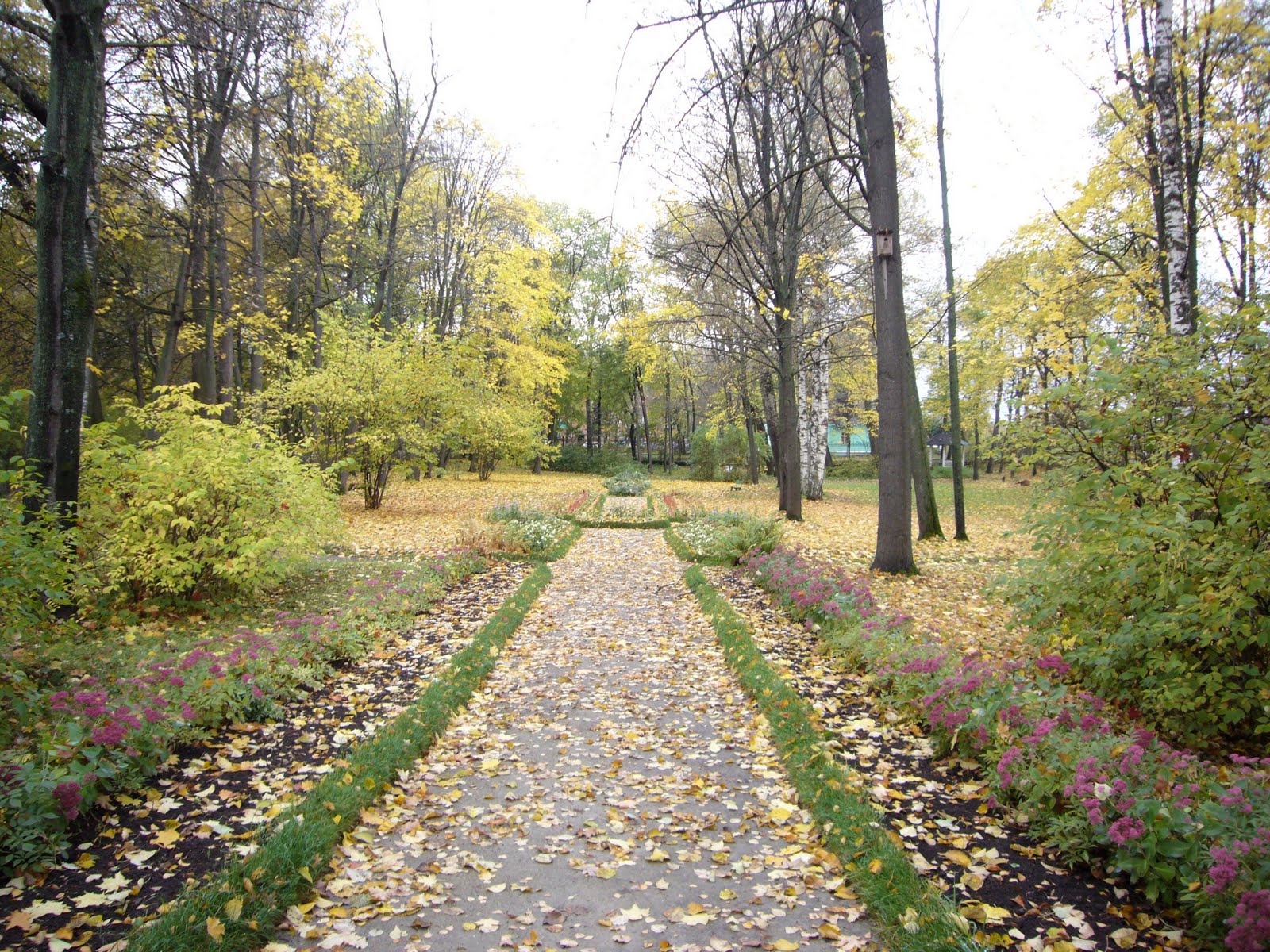 [L1000506.JPG]