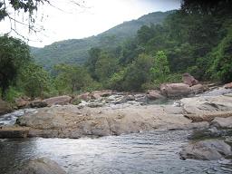 [IMG_0069.JPG]