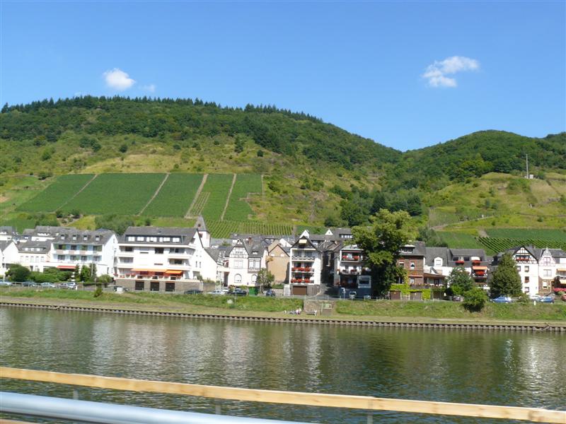 [P1350572.JPG]