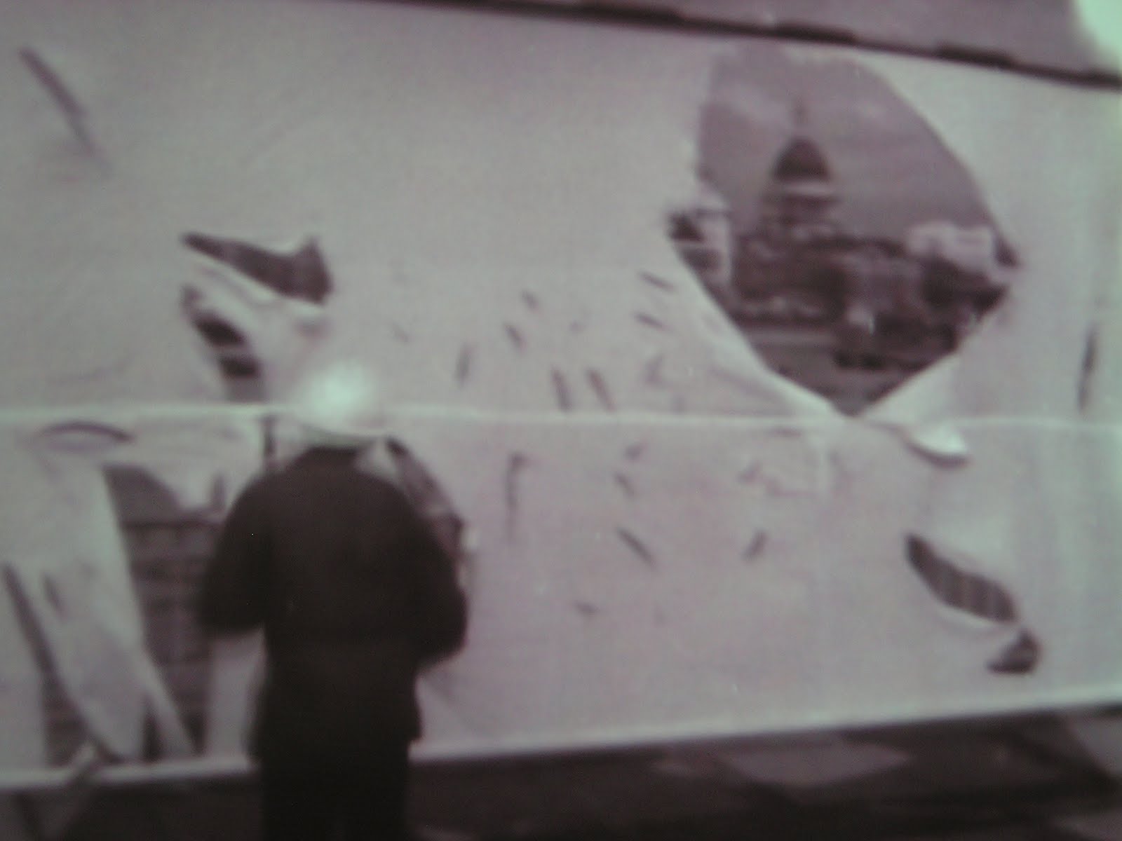 [expo+Gustav+Metzger+2010+Rochechouart+(9).JPG]