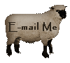 Questions - email me by clicking on the sheep