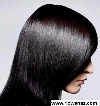 rambut