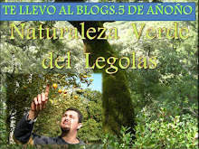 TE LLEVO A MI  OTRO  BLOGS. 5