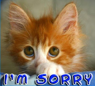 im+sorry+kitten.jpg