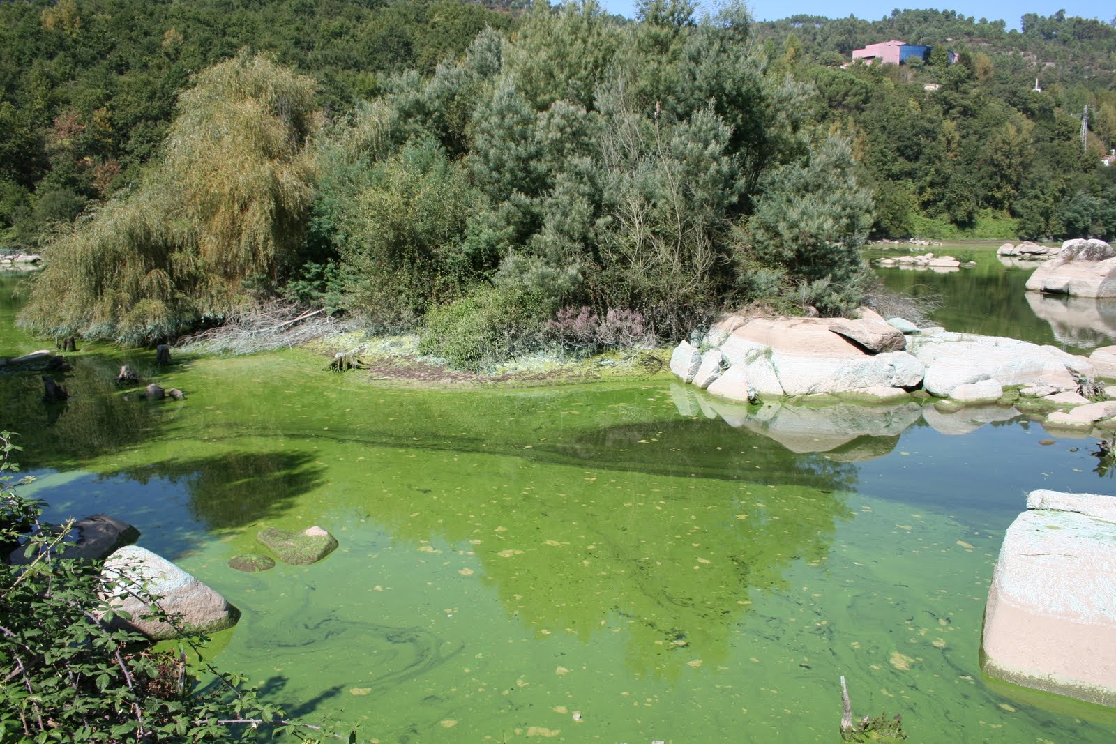[IMG_0794.JPG]