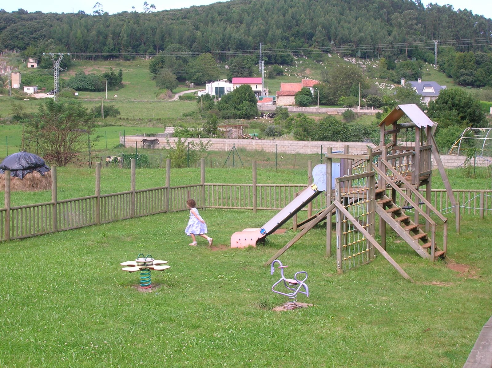 [DSCN0003.JPG]