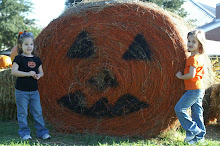 The Pumpkin Patch