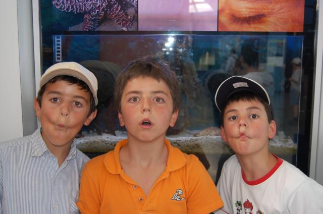 [Image34.JPG]