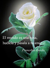 UNA ROSA BLANCA PARA TÍ