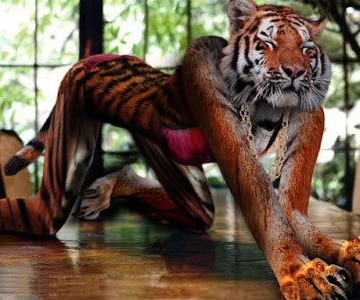 http://picdance.blogspot.com/