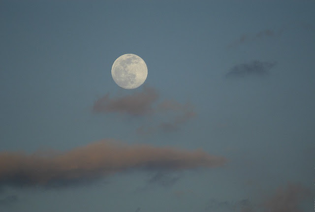  Moon Lunar Images 