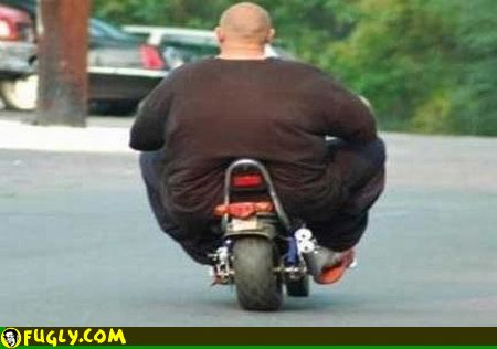 fat people pictures. Fat People Riding Scooters A