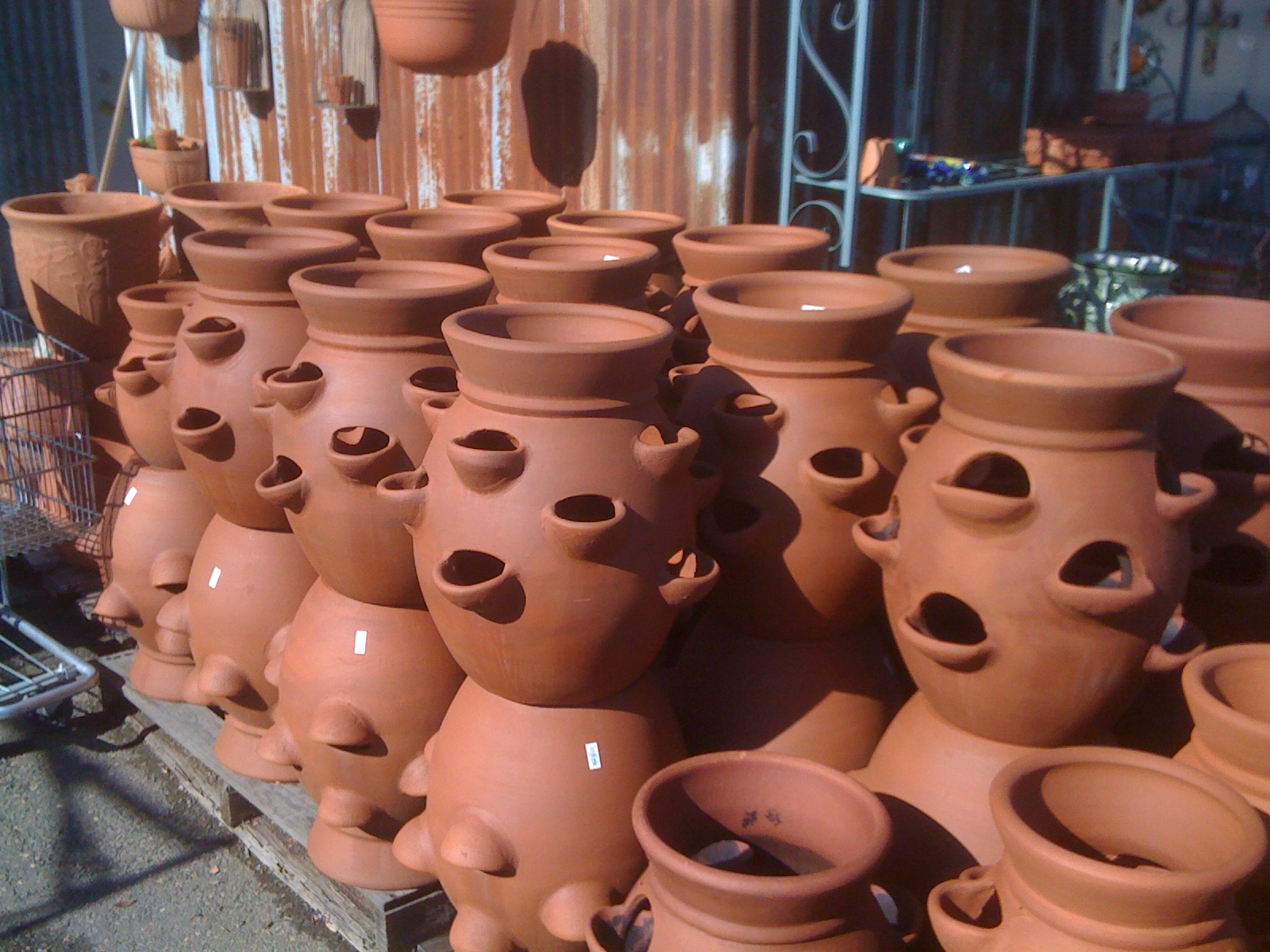 Geno's Garden Design & Coaching Panama Pottery