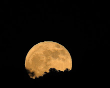 Moon over Oracle