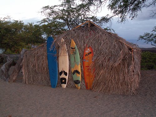 [Surf+Boards.jpg]